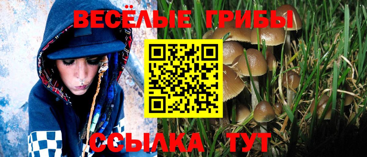 Кострома  Галлюциногенные грибы Psilocybine cubensis  наркошоп  Вход с VPN  Галлюциногенные грибы Cubensis 