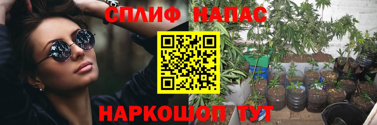 Кострома  Марихуана Ganja  МАРИХУАНА индика  Вход с VPN  МАРИХУАНА гибрид 